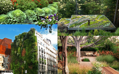 Últimas tendencias en la arquitectura de jardines