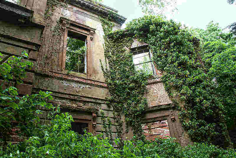 ¿Cuánto cuesta reformar una casa en ruinas totalmente?